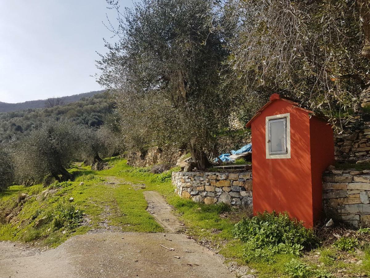 Piccolo Rifugio Nel Verde Chiusavecchia Eksteriør billede